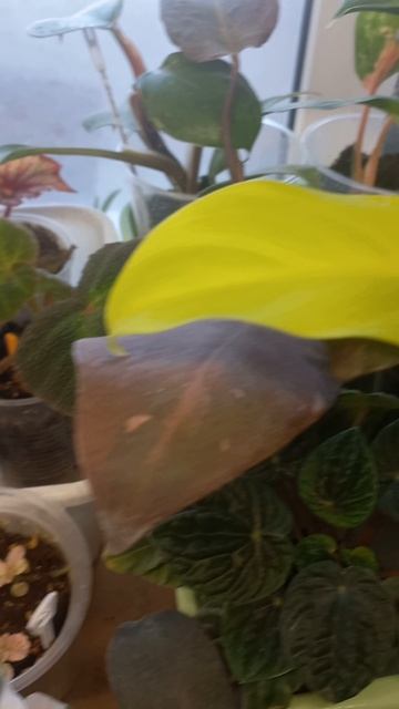 1000008646.mp4 смотреть онлайн