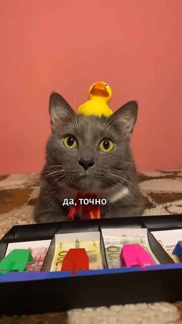 ЕСЛИ БЫ КОТЫ РАБОТАЛИ ДЕТЕКТИВАМИ смотреть онлайн