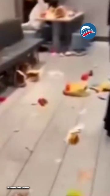 Немецкий McDonald's шокировал пользователей грязью и мусором смотреть онлайн