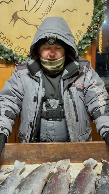 26-01-2026 смотреть онлайн