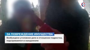В Севастополе возбудили уголовное дело в отношении подростка, подозреваемого в вандализме