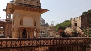 Птички поют,бугенвиллии цветут!