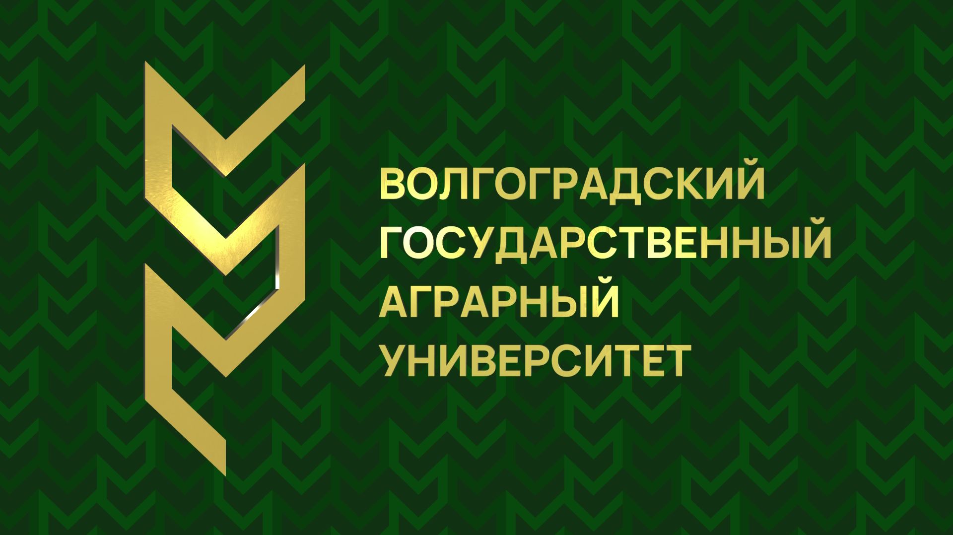 День открытых дверей в Волгоградском ГАУ смотреть онлайн