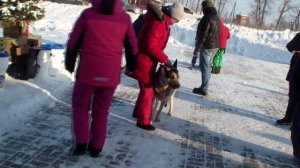 HDV_5797открытый дарвин