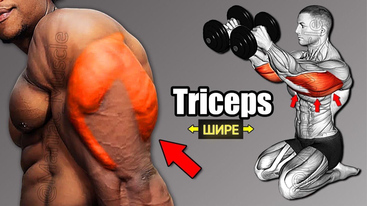 9 Упражнений на Трицепсы для Больших Рук Которые Тебе Нужно Попробовать смотреть онлайн
