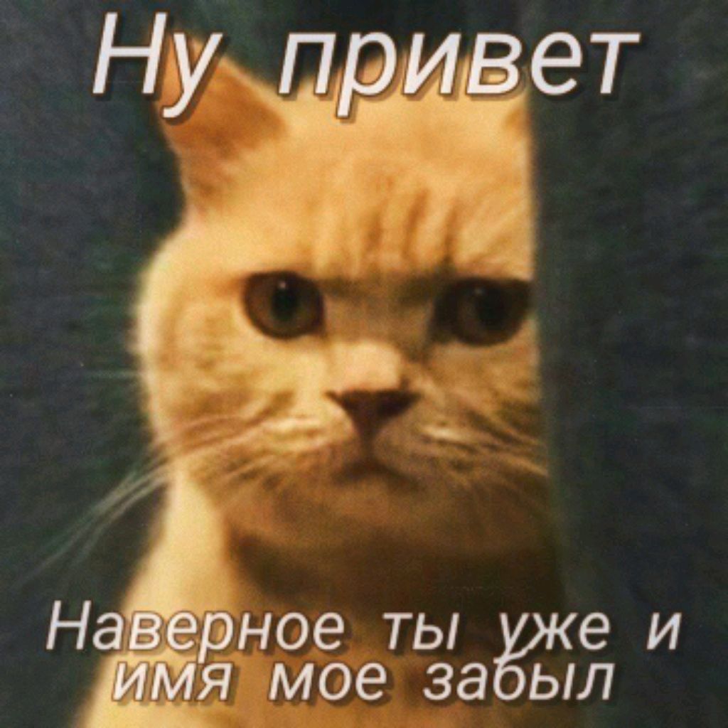 👋👋👋ВСЕМ ПРИВЕТ 👋👋👋 смотреть онлайн