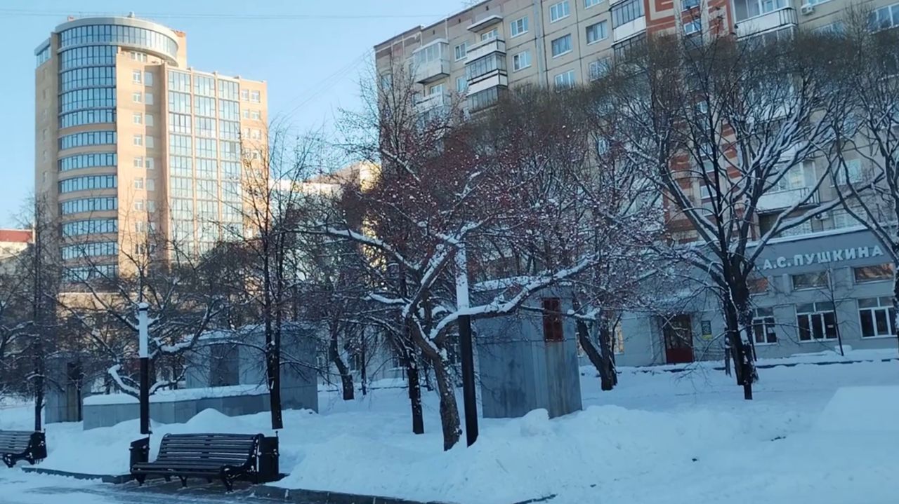 Свиристель или дрозд-рябинник? смотреть онлайн