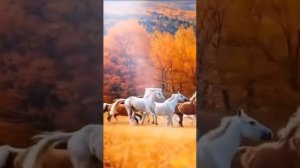 Кеше бәхетенә көнләшмәйем