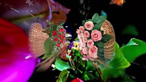 С Днём Рождения! Букеты роз 3 от Киностудии Мудрого Кота Тимофея!