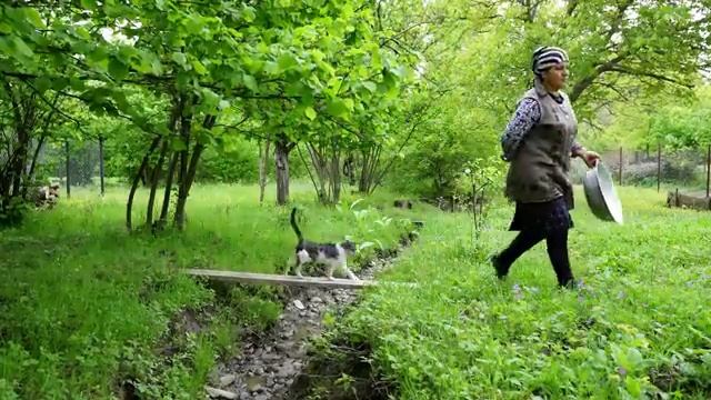 Сироп из сирени. смотреть онлайн