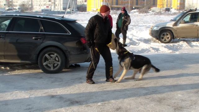 HDV_5790 Тула вне конкурса смотреть онлайн