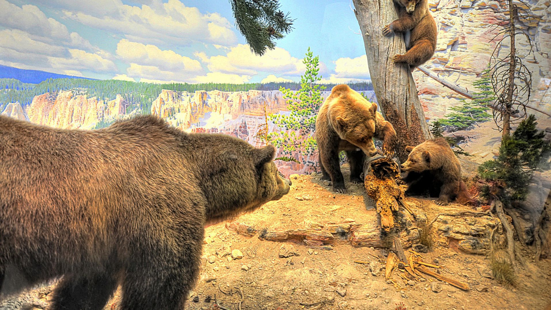 Broken Hope — Chewed to Stubs cut смотреть онлайн