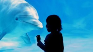 Уникальные дети-дельфины,рожденные в воде. Роды с дельфинами в России.