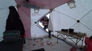 ОДИН НА ОМУТЕ, ГДЕ ЛИСЫ И ВОЛКИ! ЗАКРЕПИЛСЯ С ПАЛАТКОЙ С ПЕЧКОЙ \ РЫБАЛКА В МОРОЗ НА ПЛОТВУ И ЕЛЬЦА.