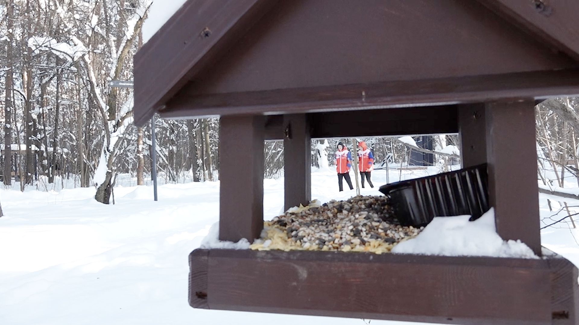 Акция «Покорми птиц» прошла в Дзержинском смотреть онлайн