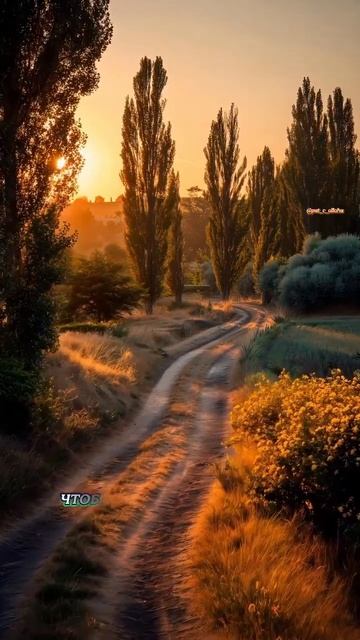 Почему женщины полюбят Даджаль #напоминание #субханаллах #истина #аллоху #коран #Голос_Мусульман смотреть онлайн