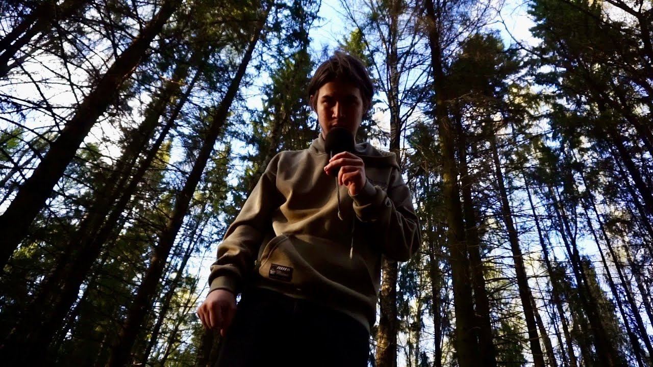 АСМР МУРАШКИ В ЛЕСУ смотреть онлайн