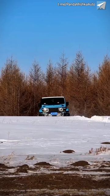 BAW 212 T01 Made in China 🇨🇳 #auto #offroad #212t01 #автоизкитая смотреть онлайн