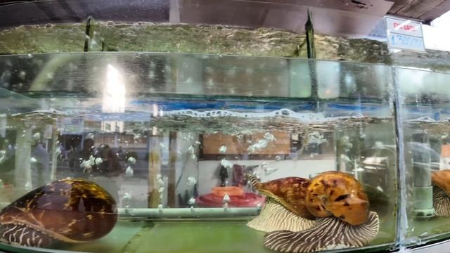 Нячанг Вьетнам