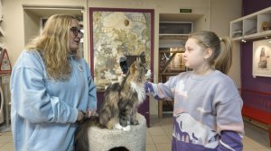 КОТЫ-ЗАЩИТНИКИ ЭРМИТАЖА. Как пушистые охранники стали звездами котокафе?