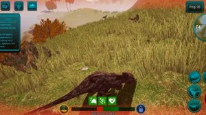 выживание за паху и стирку и выполнения зд с другом