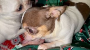 Утра всем доброго и прекрасного начала дня.