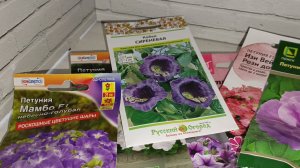 Семена цветов на лето 2026