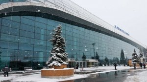 Экс-владелец "Домодедово" Каменщик попросил ВС пересмотреть решение по аэропорту