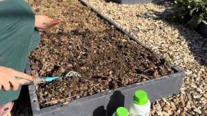 Сажаем редис с агрономом