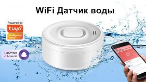Умный Wi-Fi датчик протечки воды