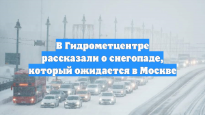 В Гидрометцентре рассказали о снегопаде, который ожидается в Москве