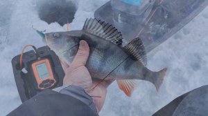 Сезон рыбалки 2026 открыт!