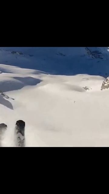 Хвостатый охранник собаки ухаживание простые забавные приключения щенки питомцы