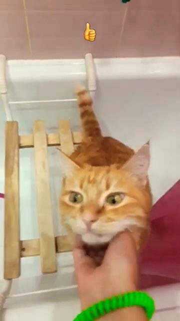 18 июня 2024 г [get.gt] смотреть онлайн