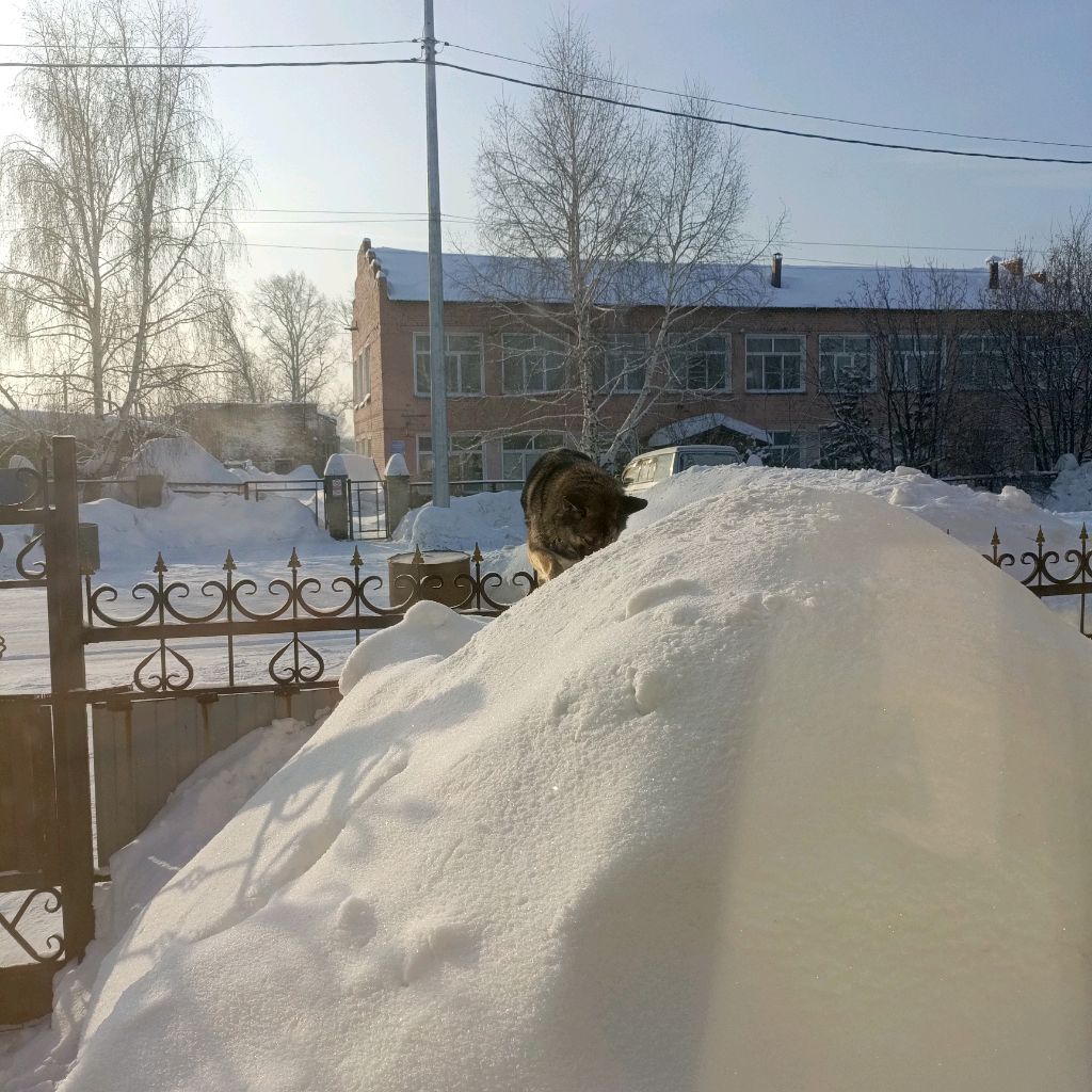 ирио смотреть онлайн