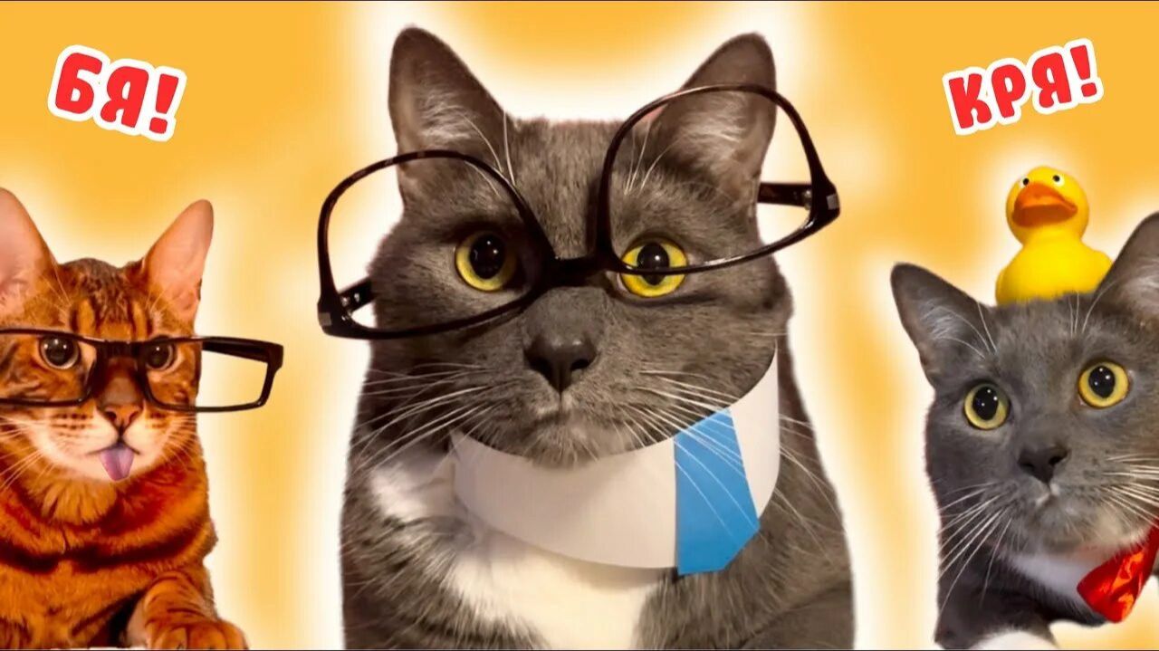 ЕСЛИ БЫ КОТИКИ ХОДИЛИ В ШКОЛУ - ЛУЧШИЕ СЕРИИ смотреть онлайн