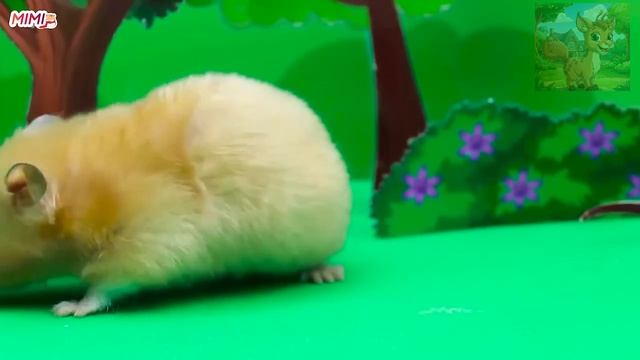 Хомячки заботятся о малышах! За непослушными малышами трудно ухаживать! смотреть онлайн