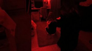 вызов бабадука