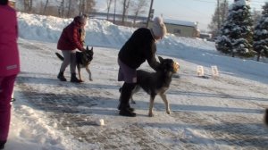 HDV_5793каспер кайс и сравнение коб юн