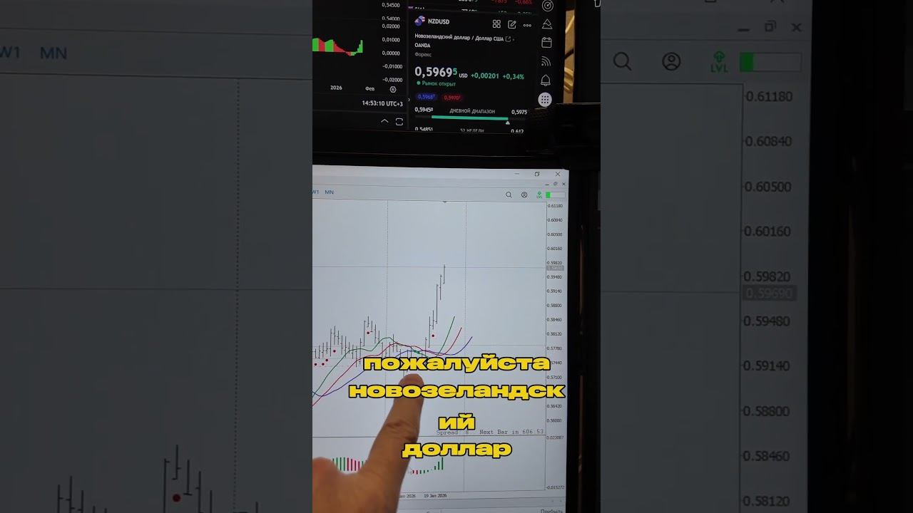 Какой трейдер круче? смотреть онлайн