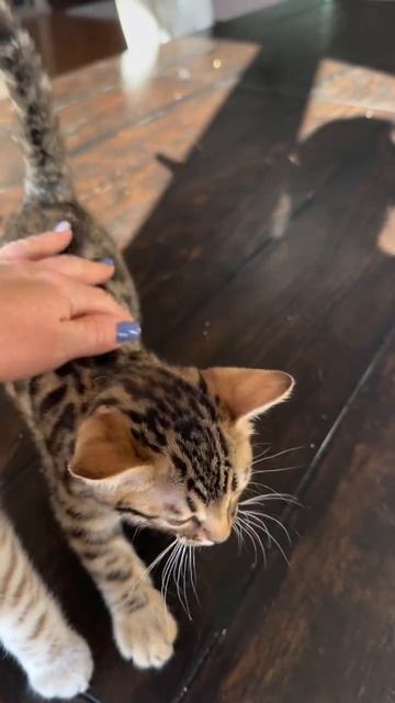 Зарядная станция смотреть онлайн