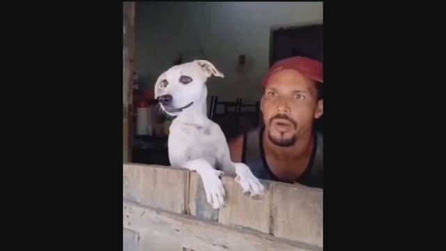 #смешныевидео -785 смотреть онлайн