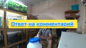 Ответ на комментарий