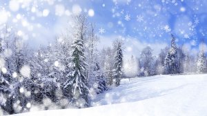 Белая метелица.