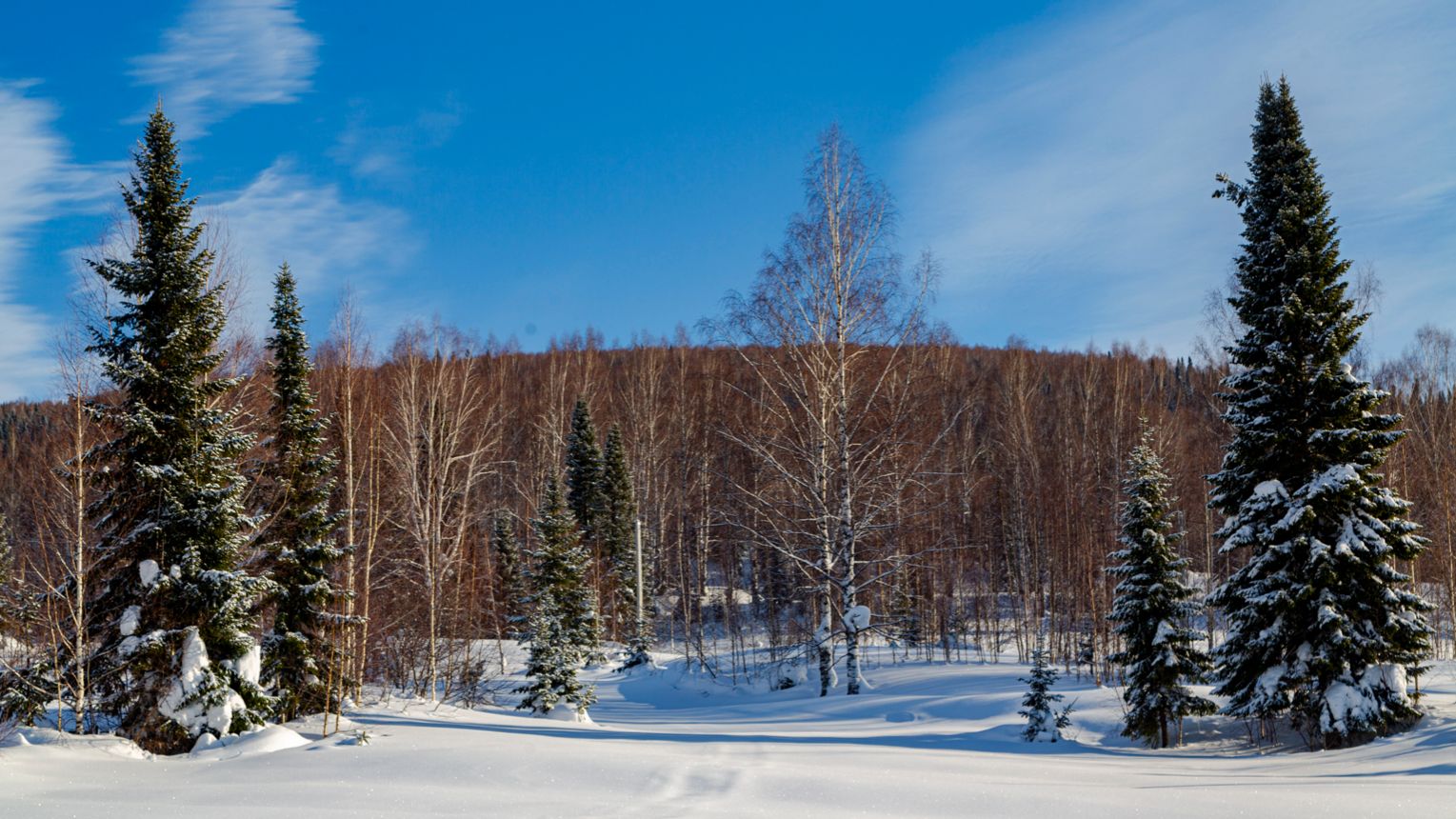 Таштагол Железнодорожная смотреть онлайн