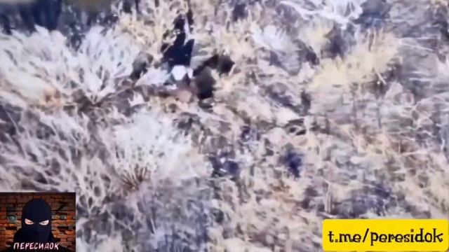 Напоследок боец показал неприличный жест вражескому дрону смотреть онлайн