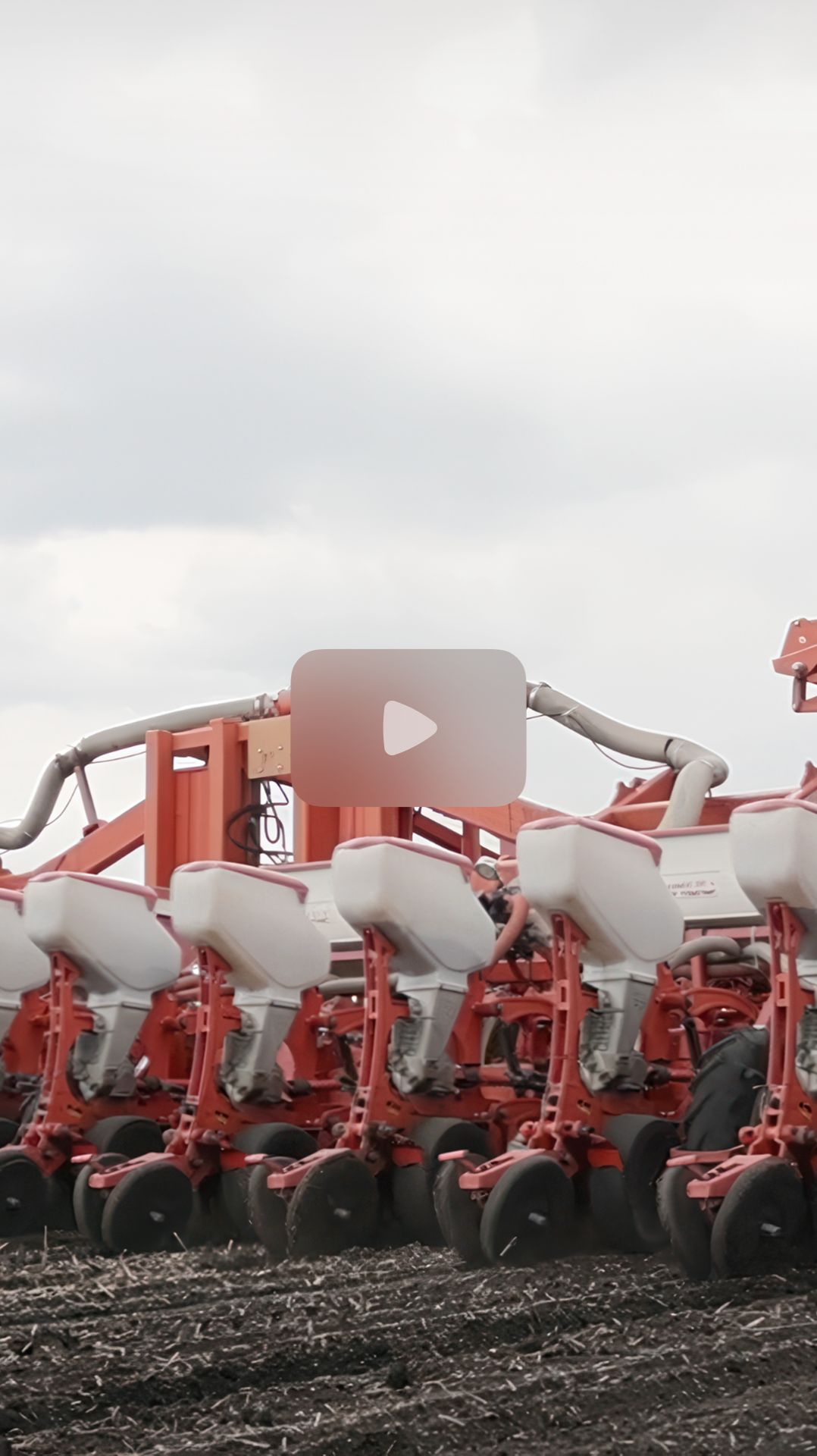 The Air Seeds смотреть онлайн