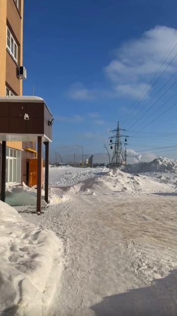 Когда привез гигиеничку на вахту