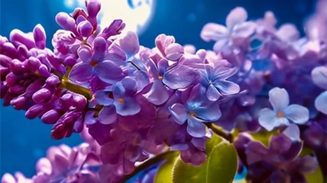 Весенний романс смотреть онлайн