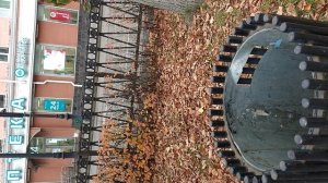 №879 Комсомольский проспект. 11 октября 2025 г., 15:17:08 VID_20251011_151700918